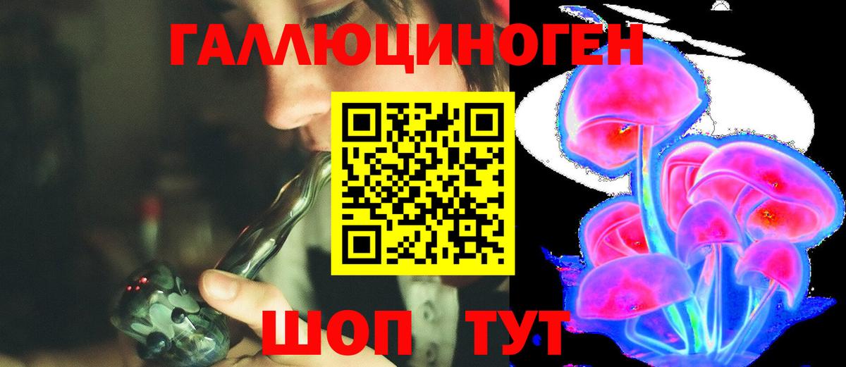 Качканар  Галлюциногенные грибы GOLDEN TEACHER  что такое наркотик  Вход с VPN  Псилоцибиновые грибы GOLDEN TEACHER 