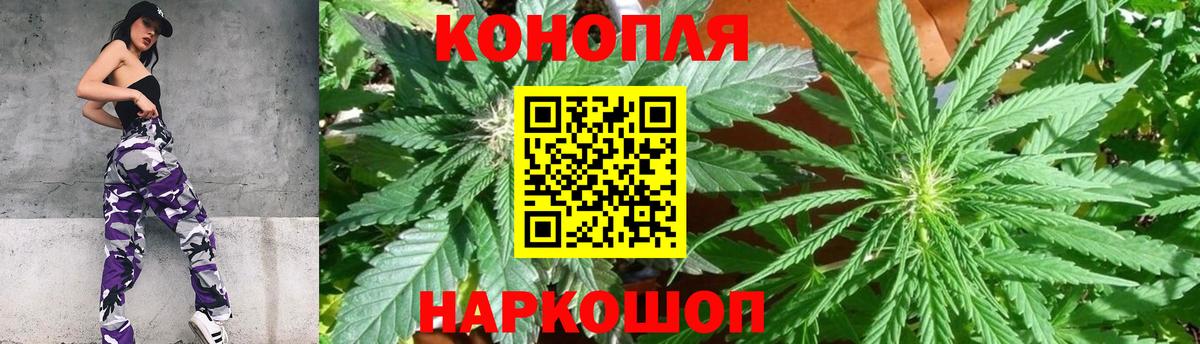 Каннабис OG Kush Качканар
